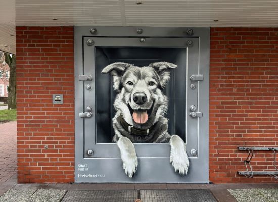 Bauverein: Hund begeistert Passanten