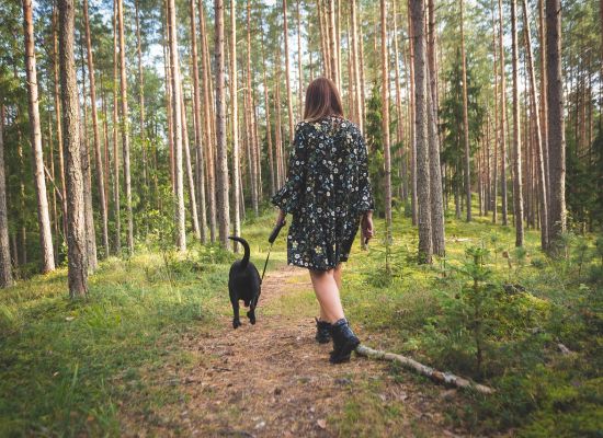 Landkreis: Leinenpflicht ab April
