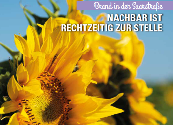 Treffpunkt: Neue Ausgabe des Mietermagazins ist da